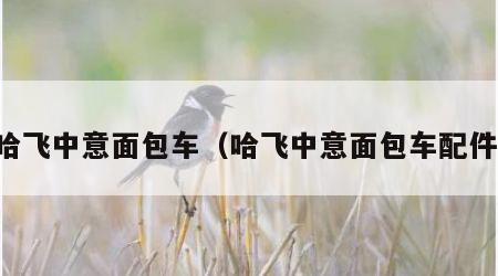 哈飞中意面包车（哈飞中意面包车配件）