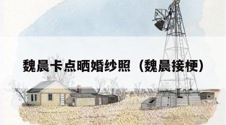 魏晨卡点晒婚纱照（魏晨接梗）