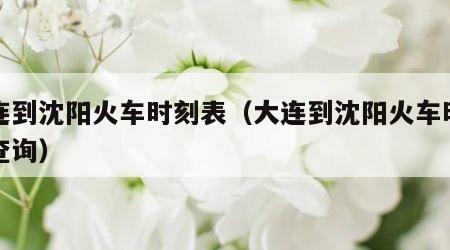 大连到沈阳火车时刻表（大连到沈阳火车时刻表查询）