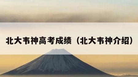北大韦神高考成绩（北大韦神介绍）