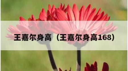 王嘉尔身高（王嘉尔身高168）