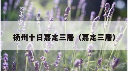 扬州十日嘉定三屠（嘉定三屠）