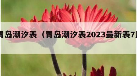 青岛潮汐表（青岛潮汐表2023最新表7月）