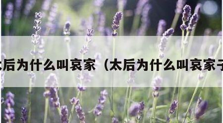 太后为什么叫哀家（太后为什么叫哀家子）