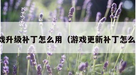 游戏升级补丁怎么用（游戏更新补丁怎么用）