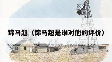 锦马超（锦马超是谁对他的评价）