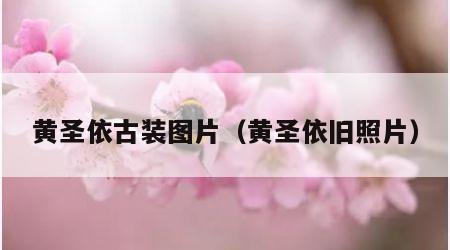 黄圣依古装图片（黄圣依旧照片）