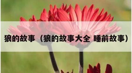 狼的故事（狼的故事大全 睡前故事）