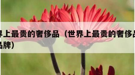 世界上最贵的奢侈品（世界上最贵的奢侈品服装品牌）
