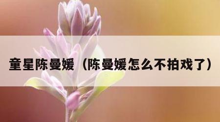 童星陈曼媛（陈曼媛怎么不拍戏了）