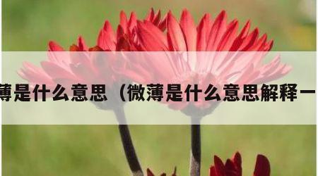 微薄是什么意思（微薄是什么意思解释一下）
