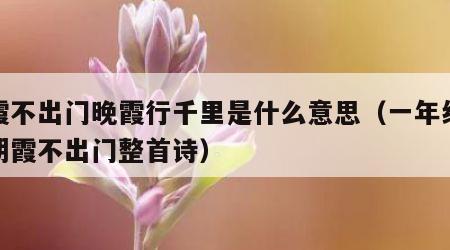 朝霞不出门晚霞行千里是什么意思（一年级课文朝霞不出门整首诗）