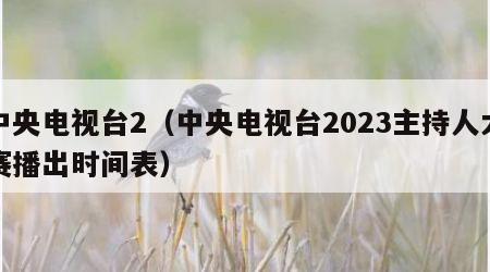 中央电视台2（中央电视台2023主持人大赛播出时间表）