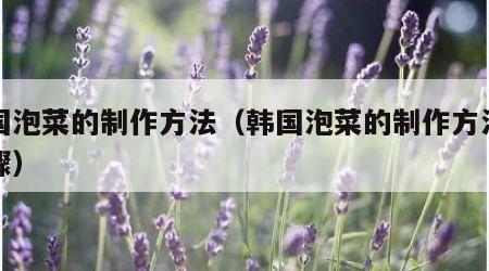 韩国泡菜的制作方法（韩国泡菜的制作方法和步骤）