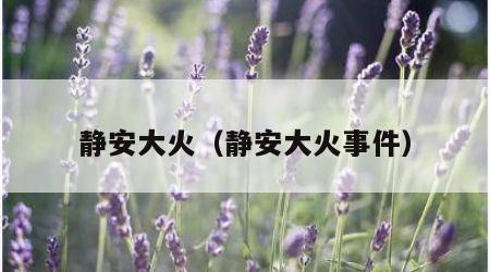 静安大火（静安大火事件）