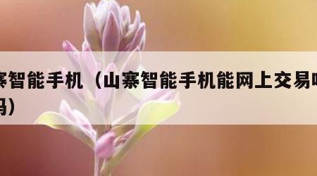 山寨智能手机（山寨智能手机能网上交易吗安全吗）
