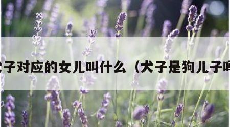 犬子对应的女儿叫什么（犬子是狗儿子吗）