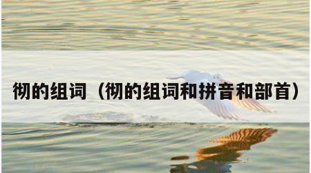 彻的组词（彻的组词和拼音和部首）