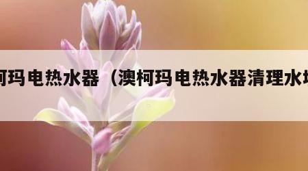 澳柯玛电热水器（澳柯玛电热水器清理水垢方法）