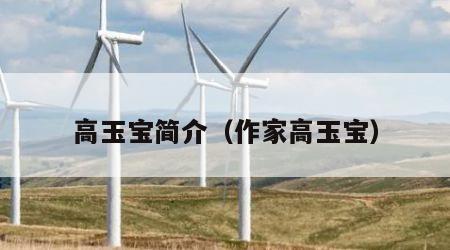 高玉宝简介（作家高玉宝）