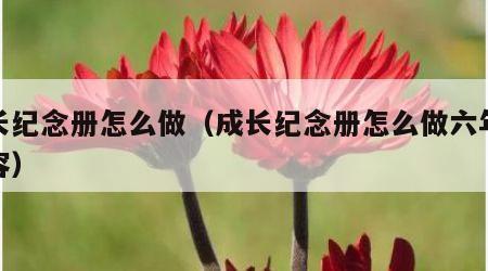 成长纪念册怎么做（成长纪念册怎么做六年级内容）