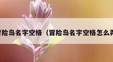 冒险岛名字空格（冒险岛名字空格怎么弄）