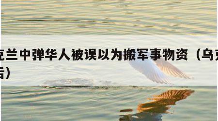 乌克兰中弹华人被误以为搬军事物资（乌克兰弹舌）