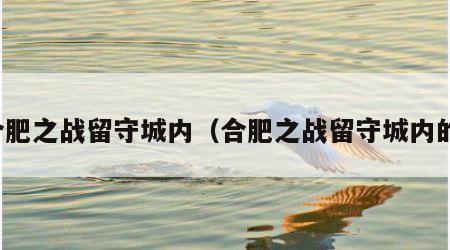 合肥之战留守城内（合肥之战留守城内的）