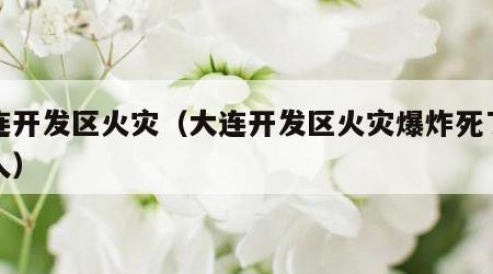 大连开发区火灾（大连开发区火灾爆炸死了多少人）