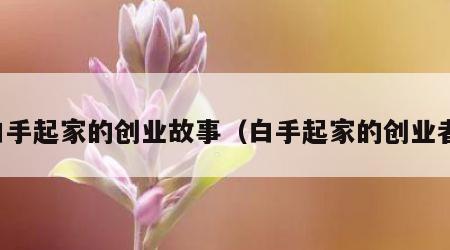白手起家的创业故事（白手起家的创业者）
