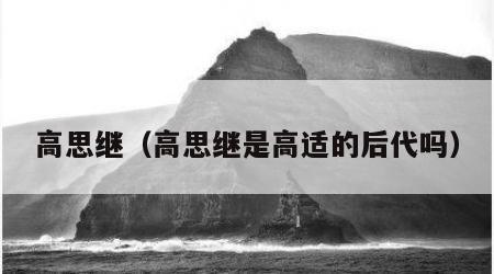 高思继（高思继是高适的后代吗）