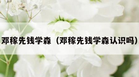 邓稼先钱学森（邓稼先钱学森认识吗）