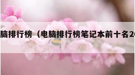 电脑排行榜（电脑排行榜笔记本前十名2023）