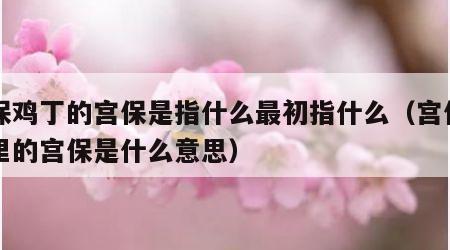 宫保鸡丁的宫保是指什么最初指什么（宫保鸡丁里的宫保是什么意思）
