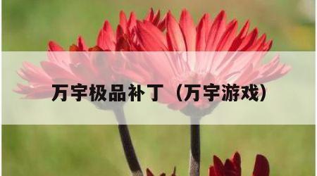万宇极品补丁（万宇游戏）