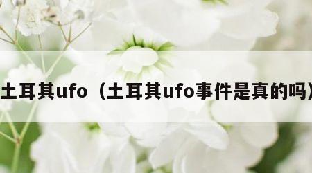 土耳其ufo（土耳其ufo事件是真的吗）