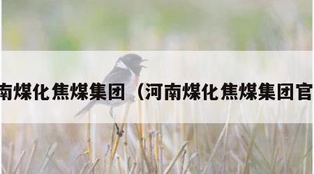 河南煤化焦煤集团（河南煤化焦煤集团官网）