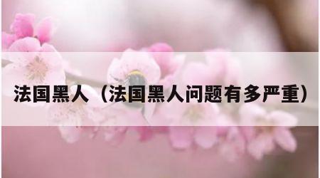 法国黑人（法国黑人问题有多严重）