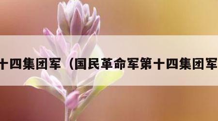 十四集团军（国民革命军第十四集团军）