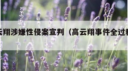 高云翔涉嫌性侵案宣判（高云翔事件全过程曝光）