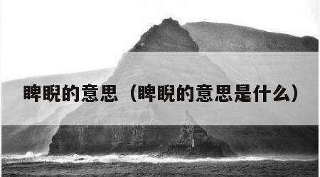 睥睨的意思（睥睨的意思是什么）