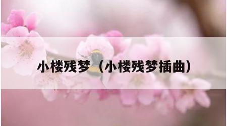 小楼残梦（小楼残梦插曲）