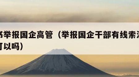 秘书举报国企高管（举报国企干部有线索没证据可以吗）