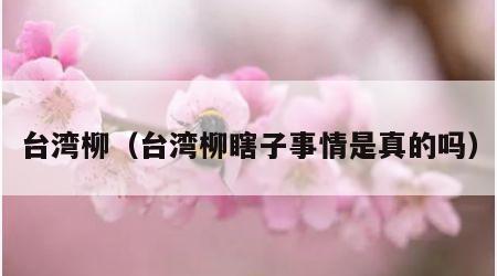 台湾柳（台湾柳瞎子事情是真的吗）