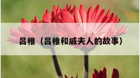 吕稚（吕稚和戚夫人的故事）