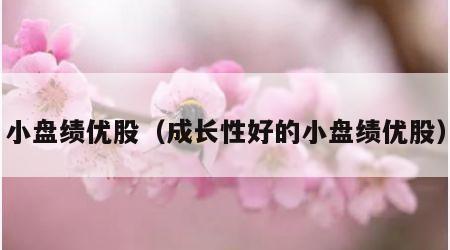 小盘绩优股（成长性好的小盘绩优股）