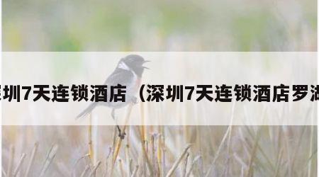 深圳7天连锁酒店（深圳7天连锁酒店罗湖）