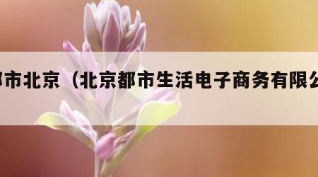e都市北京（北京都市生活电子商务有限公司）