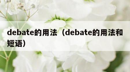 debate的用法（debate的用法和短语）