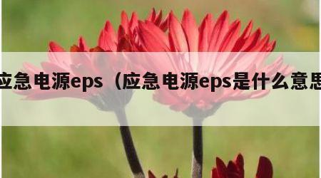应急电源eps（应急电源eps是什么意思）